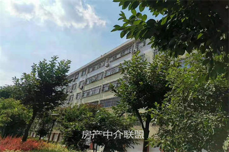 薛城区陶庄陶兴华苑2室2厅1卫